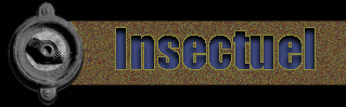 Insectuel